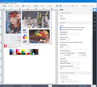 Fiery XF 8 InRip Simulation aus